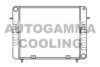 OPEL 1302035 Radiator, engine cooling